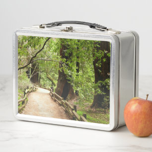 Muir Woods Path II Nature Photography Metal Lunch Box