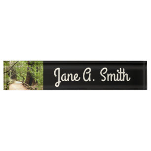 Muir Woods Path II Nature Photography Nameplate