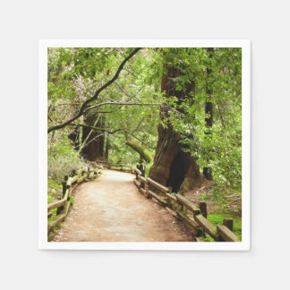 Muir Woods Path II Nature Photography Napkin