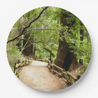 Muir Woods Path II Nature Photography Paper Plate