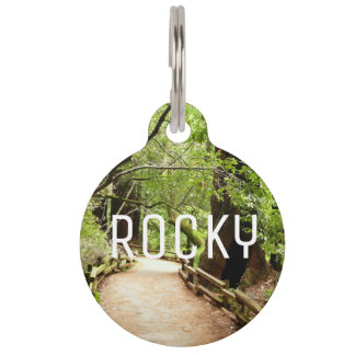 Muir Woods Path II Nature Photography Pet Tag