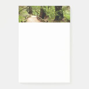 Muir Woods Path II Nature Photography Post-it Notes