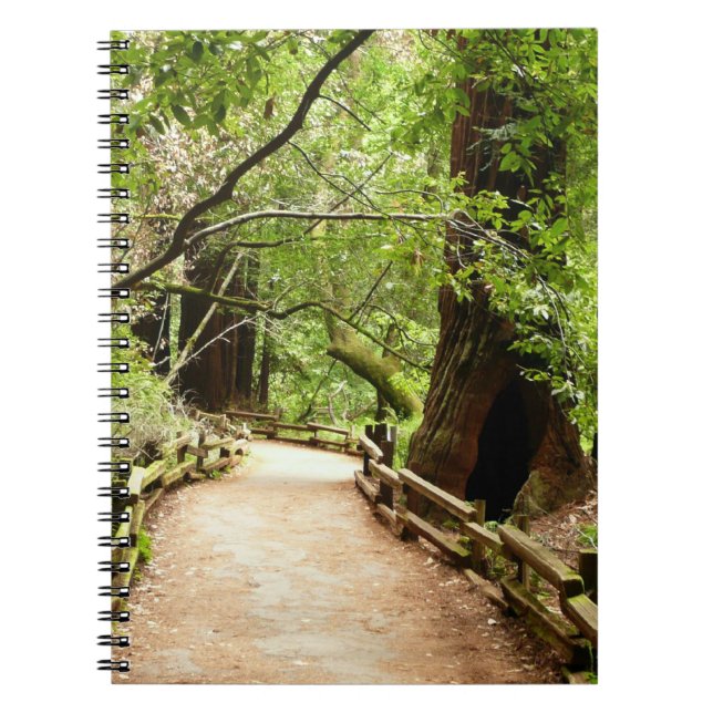 Muir Woods Path II Nature Photography Spiral Notebook (Front)