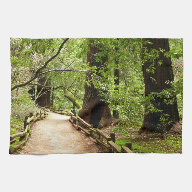 Muir Woods Path II Nature Photography Tea Towel (Horizontal)
