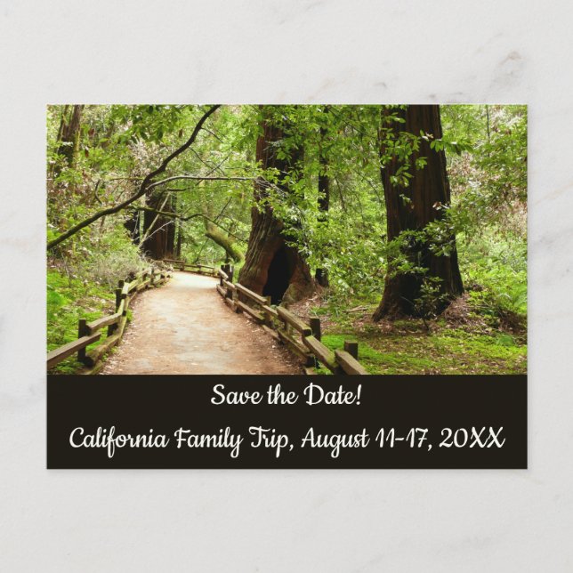 Muir Woods Path II Nature Save the Date Postcard (Front)