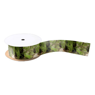 Muir Woods Path II Satin Ribbon