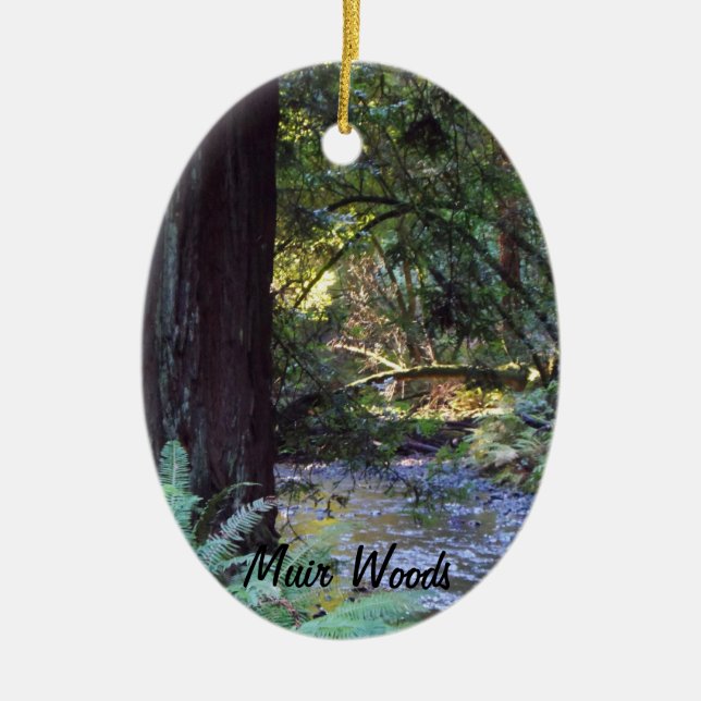 Muir Woods Stream Ceramic Tree Decoration (Front)