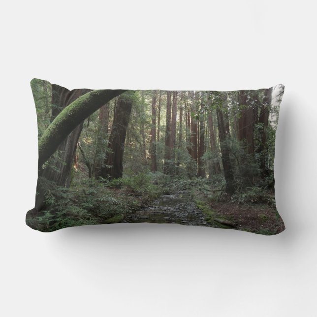 Muir Woods Stream Forest Landscape Lumbar Cushion (Front)