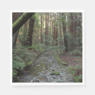 Muir Woods Stream Forest Landscape Napkin