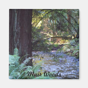 Muir Woods Stream Magnet