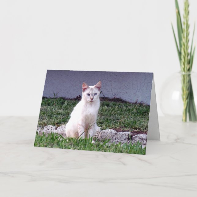 Mulan's Greeting Card (8838) (Front)