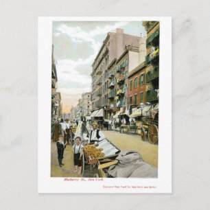 Mulberry St., New York City Postcard