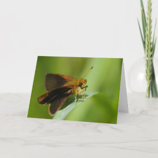 Mulberrywing Card