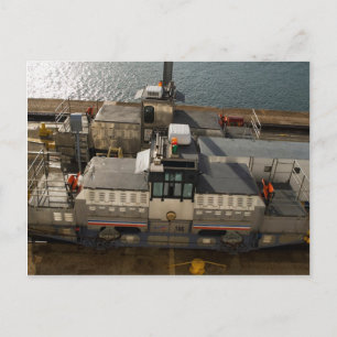 Mule 1 postcard
