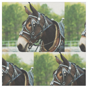 mule day fabric
