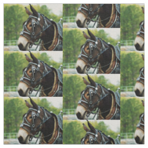 mule days fabric