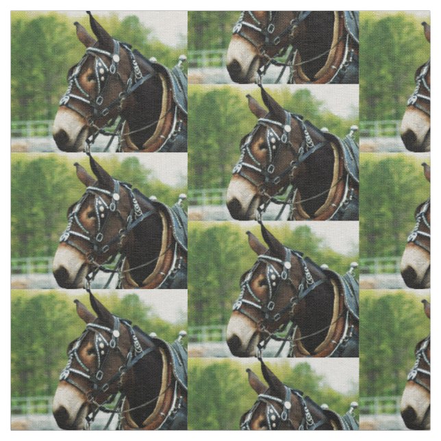 mule days fabric (Swatch)