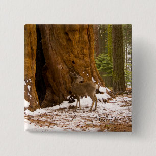 Mule Deer 15 Cm Square Badge