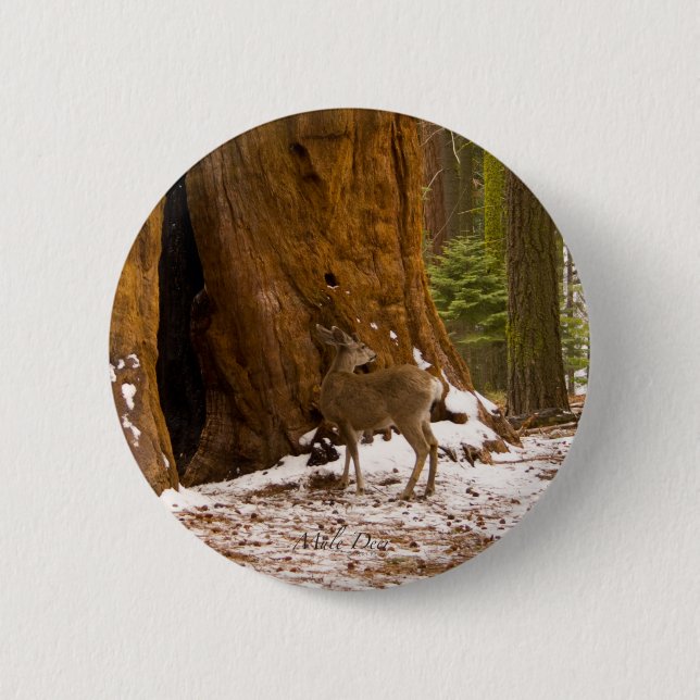 Mule Deer 6 Cm Round Badge (Front)