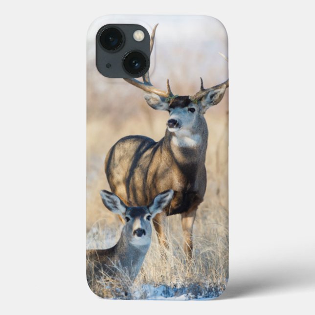 Mule Deer Buck and Doe Case-Mate iPhone Case (Back)