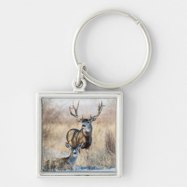Mule Deer Buck and Doe Key Ring (Front)
