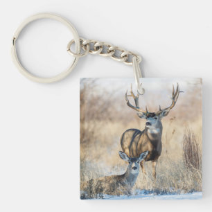 Mule Deer Buck and Doe Key Ring