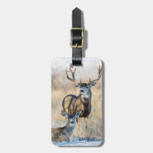 Mule Deer Buck and Doe Luggage Tag