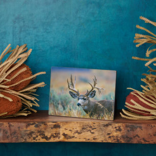 Mule Deer Buck Grand Teton National Park Wyoming Plaque