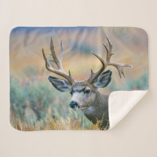 Mule Deer Buck Grand Teton National Park Wyoming Sherpa Blanket