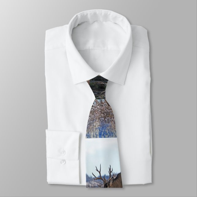 Mule deer bucks 2 tie (Tied)