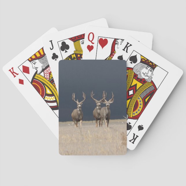 Mule Deer Bucks Bicycle Playing Cards (Back)