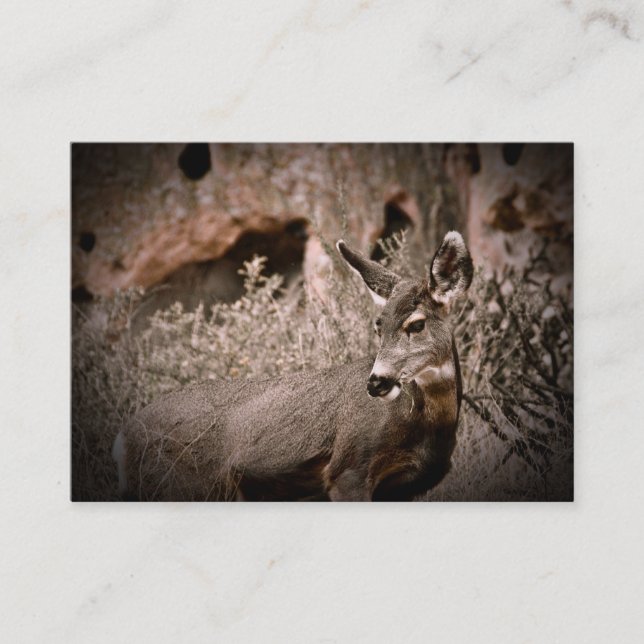 Mule Deer Business Card (Front)