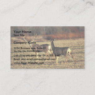 Mule Deer Business Card