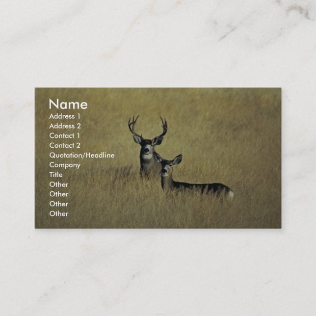 Mule Deer Business Card (Front)