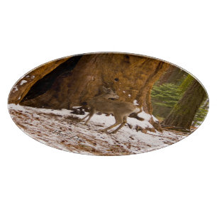 Mule Deer Cutting Board