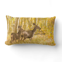 Mule Deer Doe and Fawn in Fall Meadow