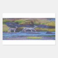 Mule Deer Doe and Fawn