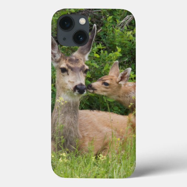 Mule Deer Doe with Fawn Case-Mate iPhone Case (Back)