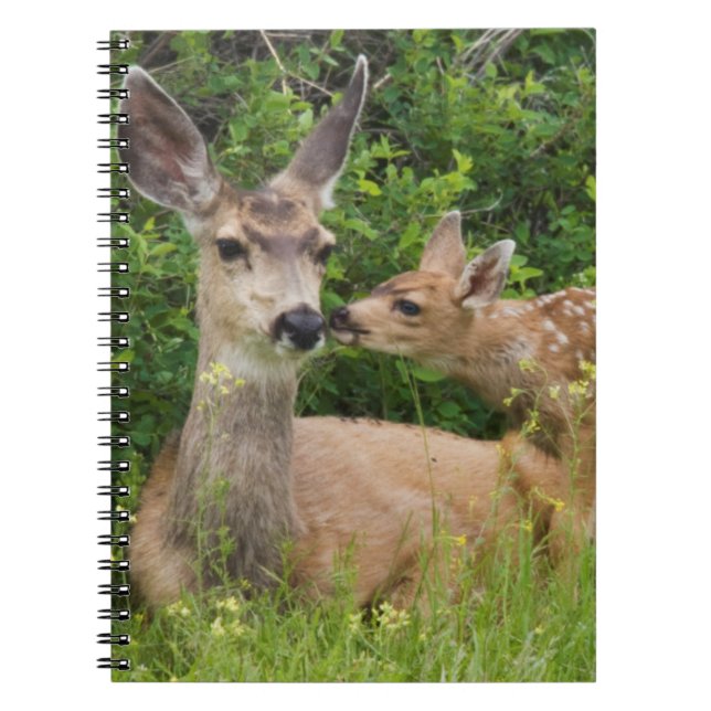 Mule Deer Doe with Fawn Spiral Notebook (Front)