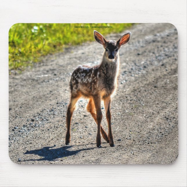 Mule Deer Fawn Baby Animal Wildlife Photo Mouse Pad (Front)