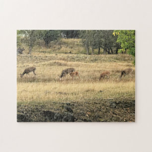 Mule Deer in a Field Jigsaw Puzzle