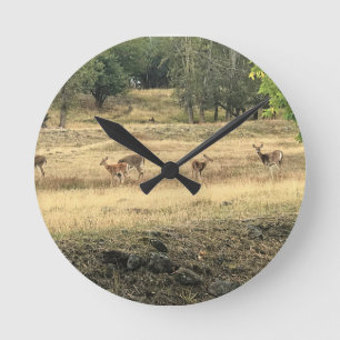 Mule Deer in a Field, Joseph, Oregon Round Clock