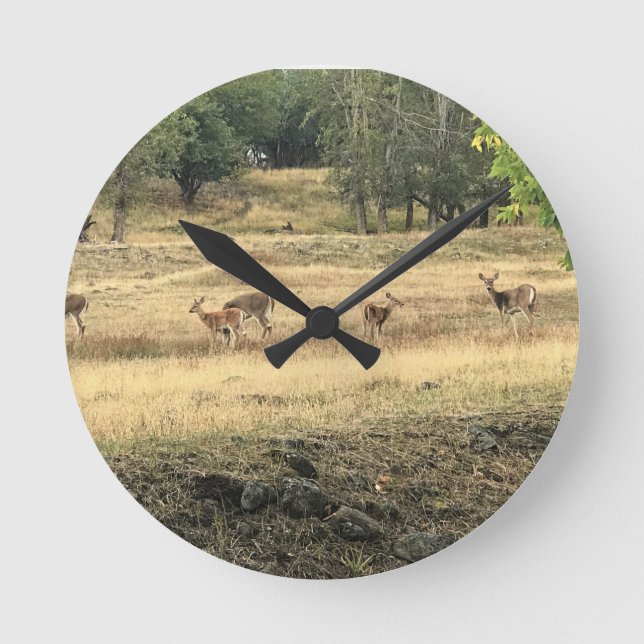 Mule Deer in a Field, Joseph, Oregon Round Clock (Front)
