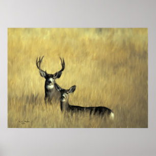 Mule Deer in Brush Poster