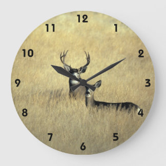 Mule Deer in California Wall Clock