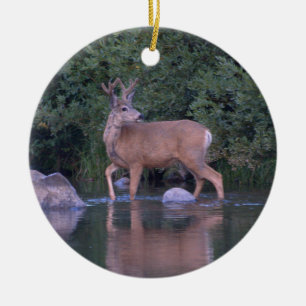 "Mule Deer Making an Early Morning River Crossing" Ceramic Tree Decoration