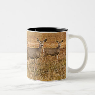 Mule deer (Odocoileus hemionus) One on left with Two-Tone Coffee Mug