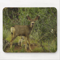 Mule Deer Raspberry Mouse Pad