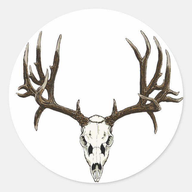 Mule Deer skull Classic Round Sticker (Front)