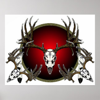 mule deer skulls poster